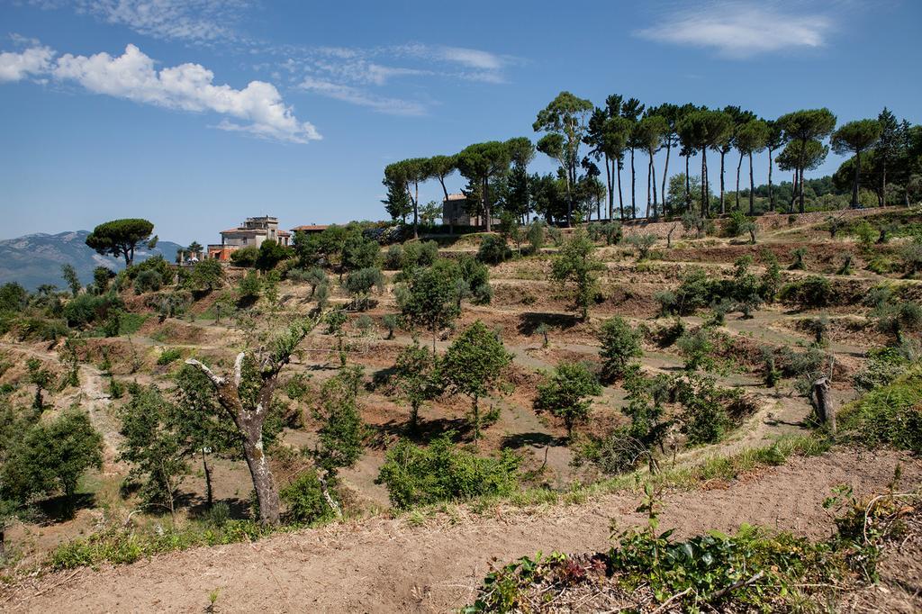 Agriturismo La Molara Sessa Aurunca Bagian luar foto