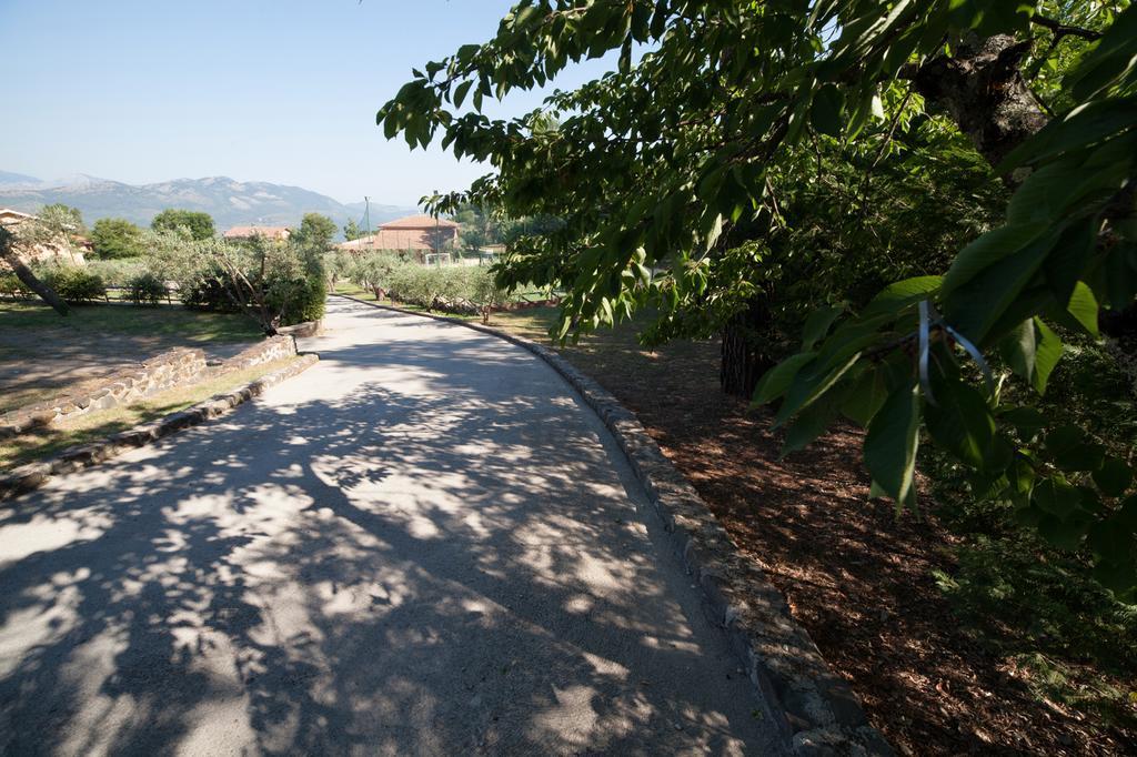 Agriturismo La Molara Sessa Aurunca Bagian luar foto
